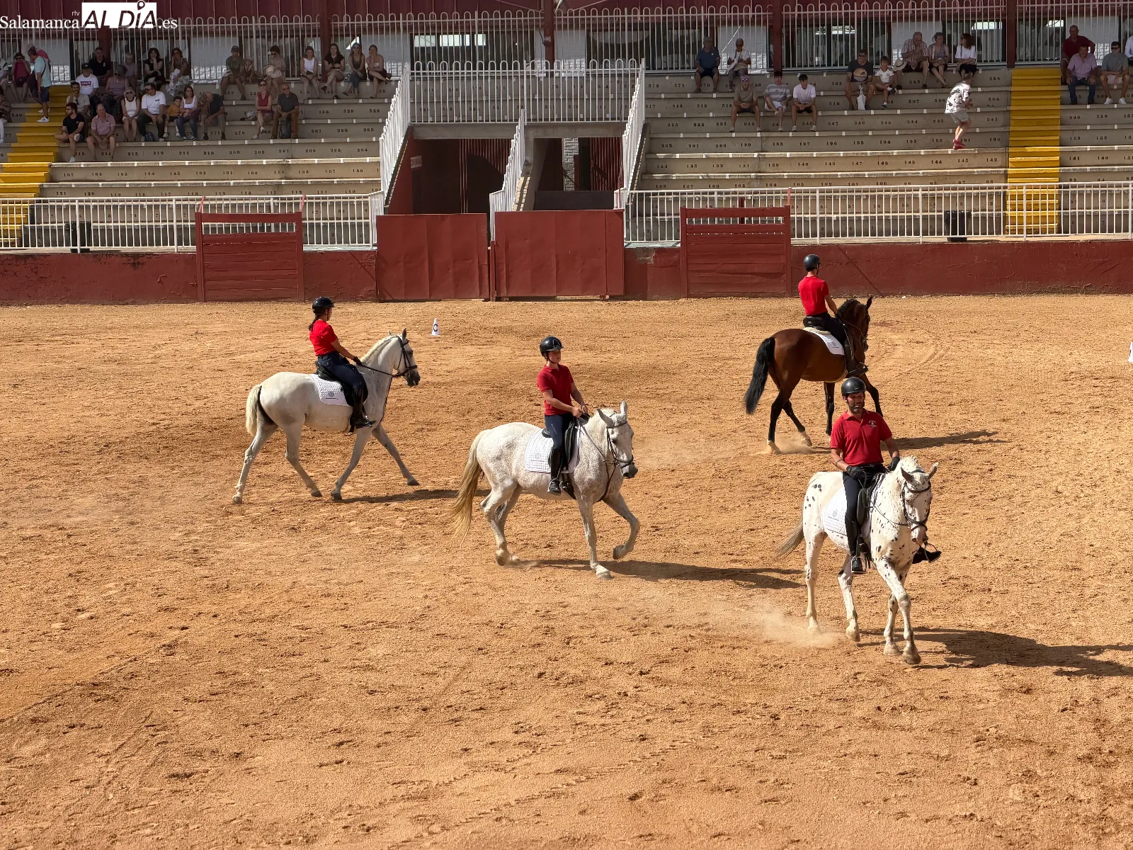 VIDEO Y FOTOS | Exhibición de caballos de Pura Raza y Deporte Español