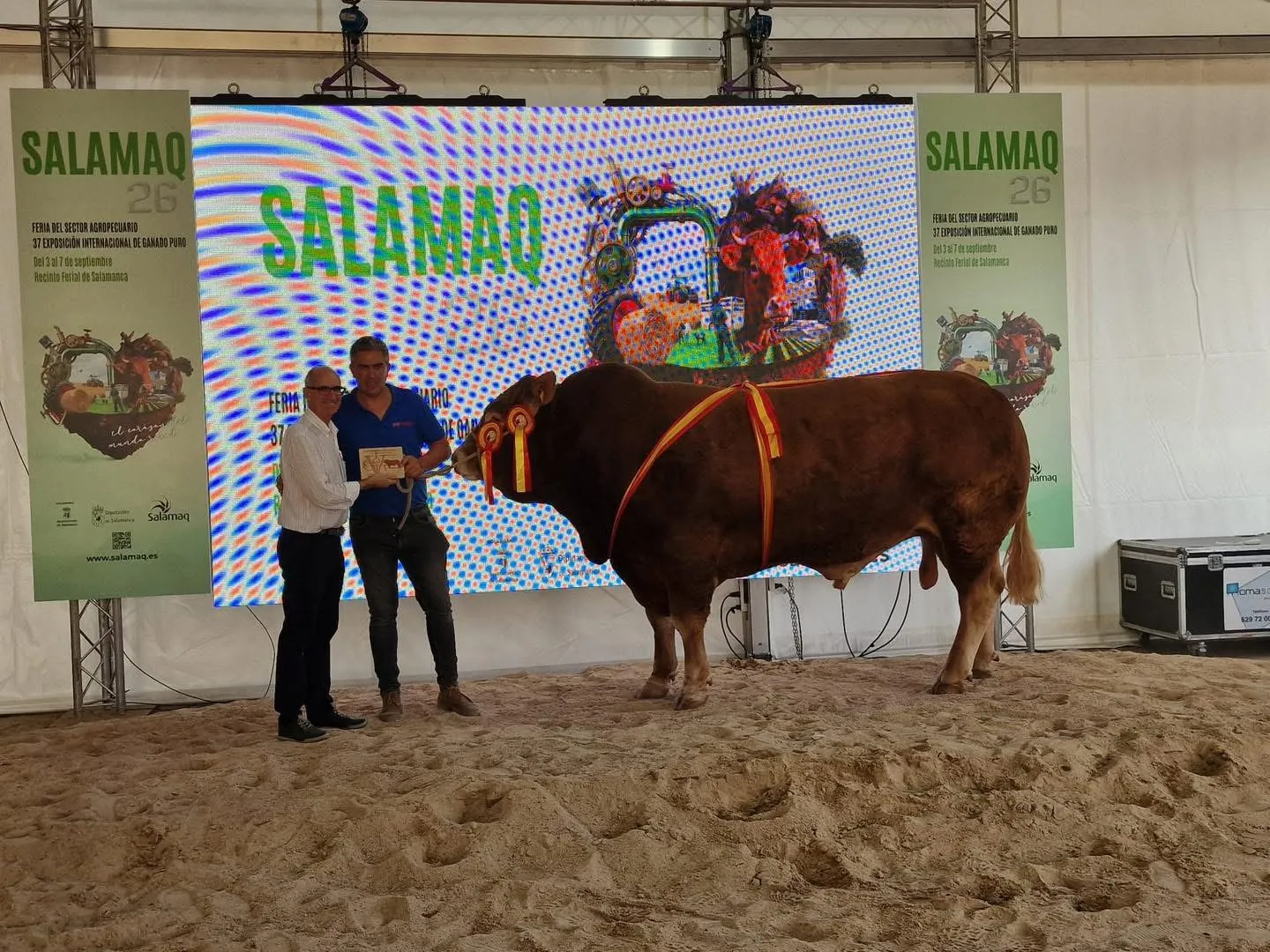 Estos son los ejemplares campeones de las razas limusina, charolesa y blonda de Aquitania | Fotos: @Salamaq´