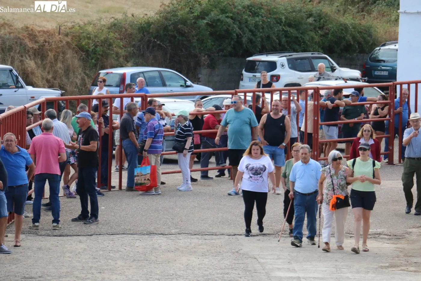 Supersónico encierro de Valdeflores en Pereña de la Ribera / CORRAL  