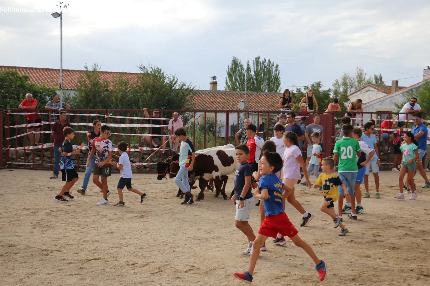 Buena afluencia de público al II Toro de Cajón de Villaseco de los Reyes / CORRAL