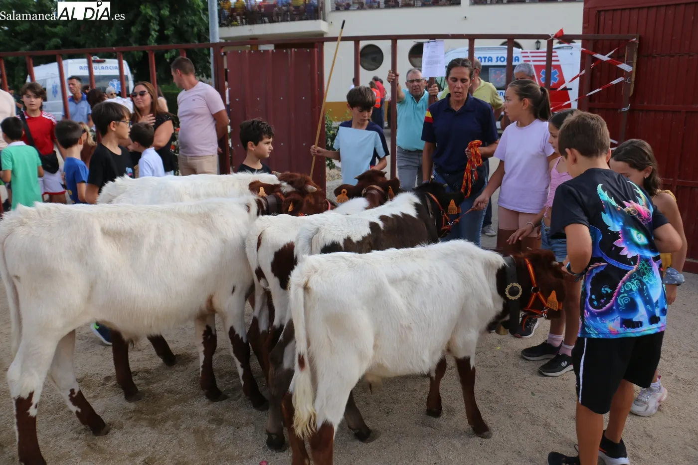 Buena afluencia de público al II Toro de Cajón de Villaseco de los Reyes / CORRAL