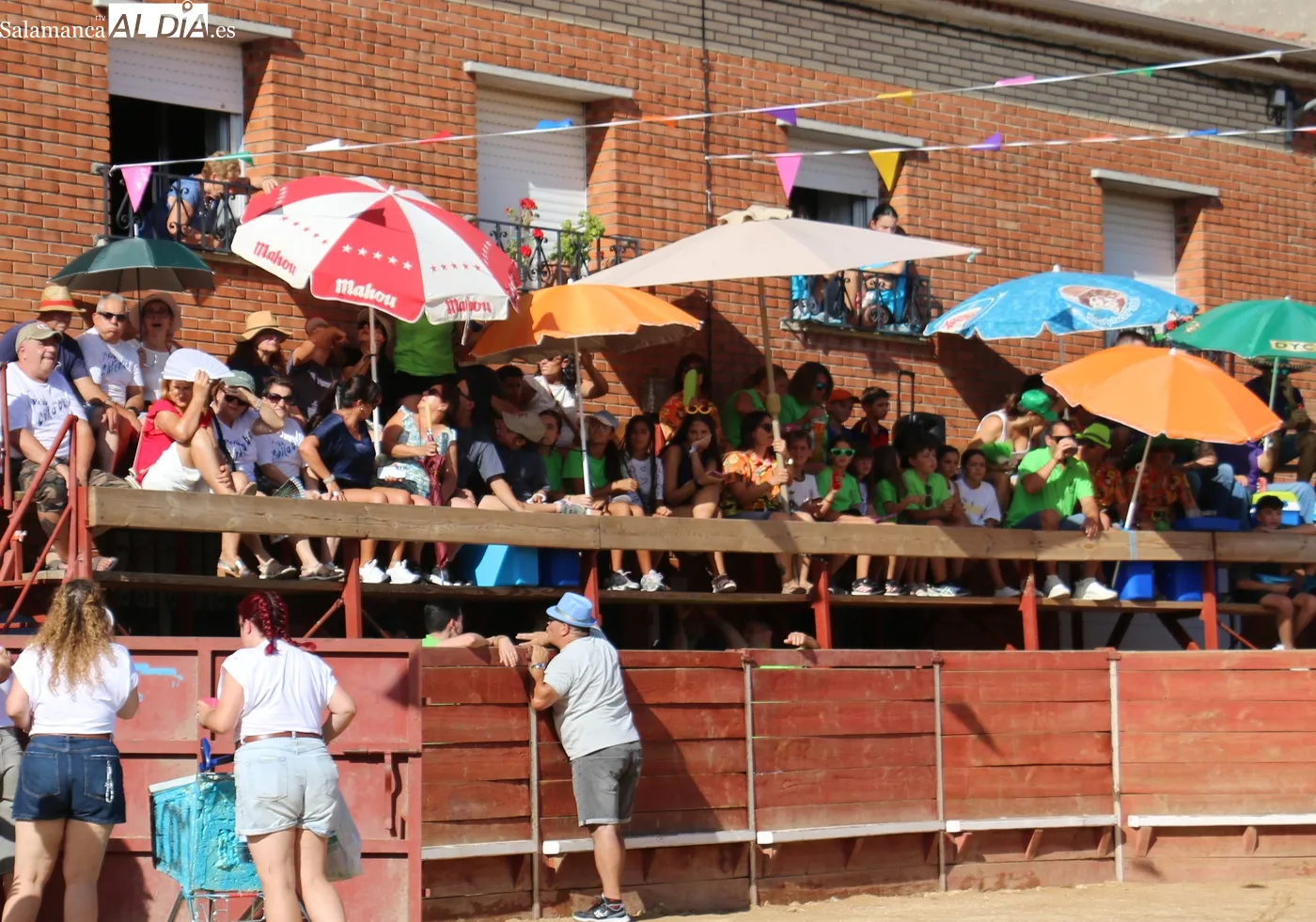 Entretenida novillada de Ignacio López Chaves en Mieza / CORRAL 