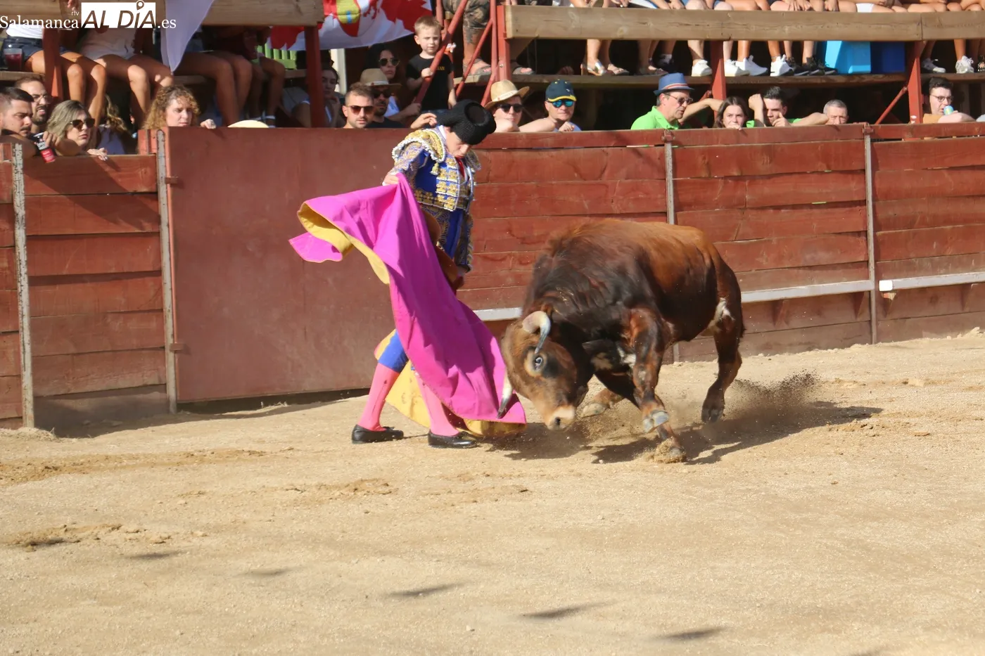 Entretenida novillada de Ignacio López Chaves en Mieza / CORRAL 