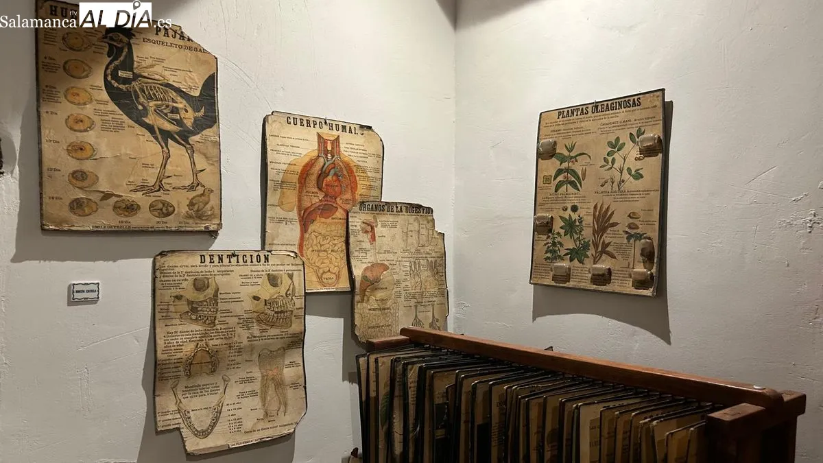 El Museo de Antaño, un rincón para aprender de la herencia del pasado en Alaraz. Foto de Tomás Gil