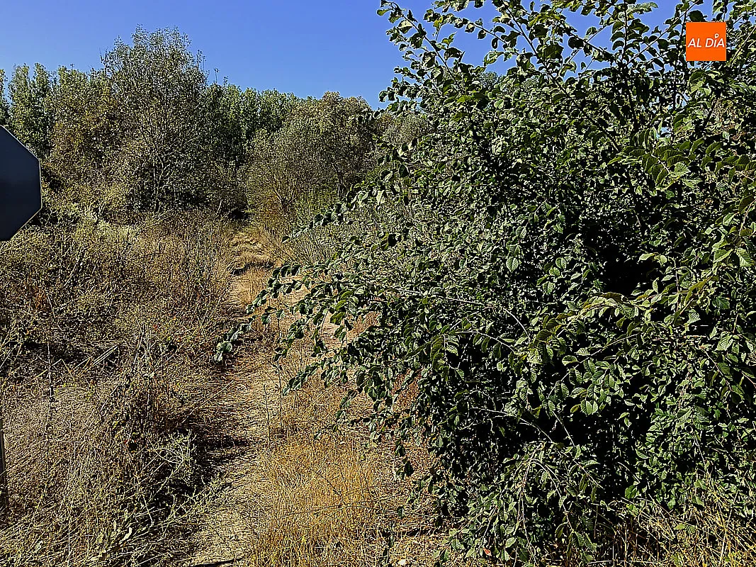 Foto 3 - El PSOE de Ciudad Rodrigo denuncia el mal estado de conservaci&oacute;n de la Ruta de los Molinos