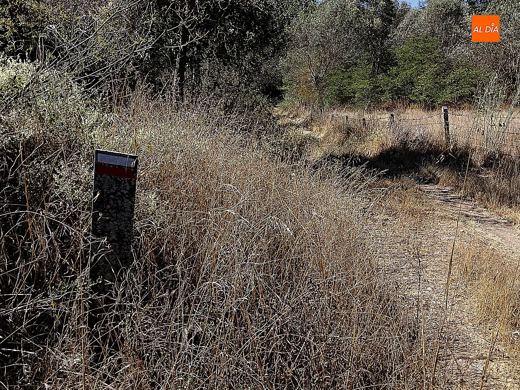 Foto 4 - El PSOE de Ciudad Rodrigo denuncia el mal estado de conservaci&oacute;n de la Ruta de los Molinos