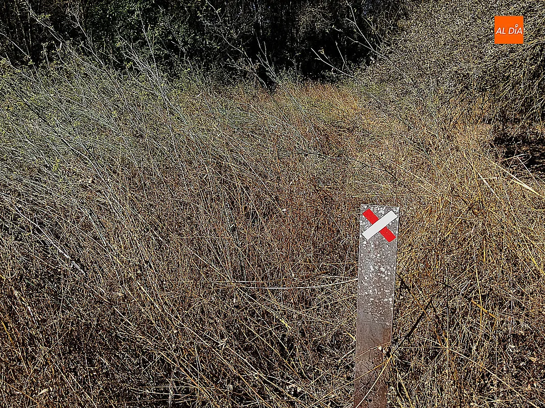 Foto 6 - El PSOE de Ciudad Rodrigo denuncia el mal estado de conservaci&oacute;n de la Ruta de los Molinos