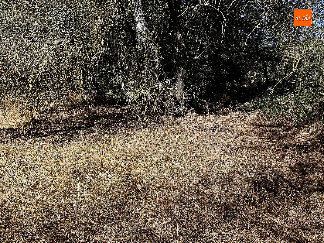 Foto 7 - El PSOE de Ciudad Rodrigo denuncia el mal estado de conservaci&oacute;n de la Ruta de los Molinos