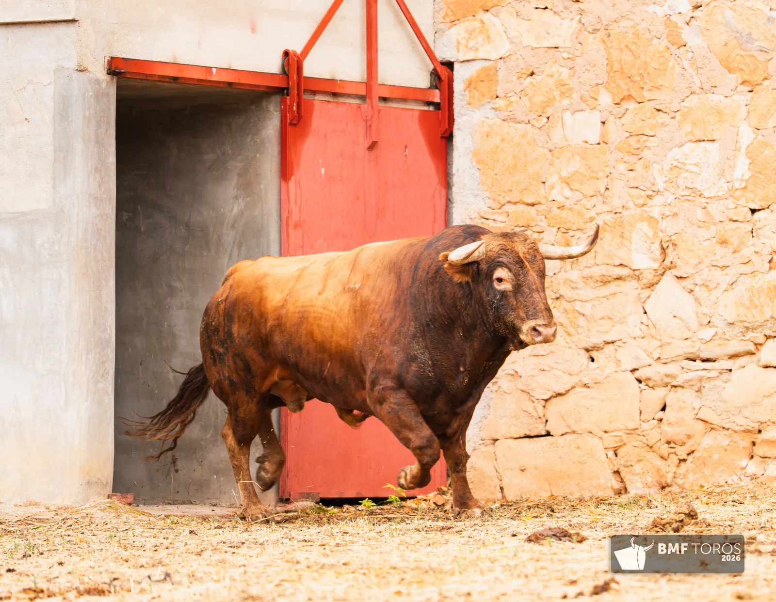 Fotos: BMF Toros
