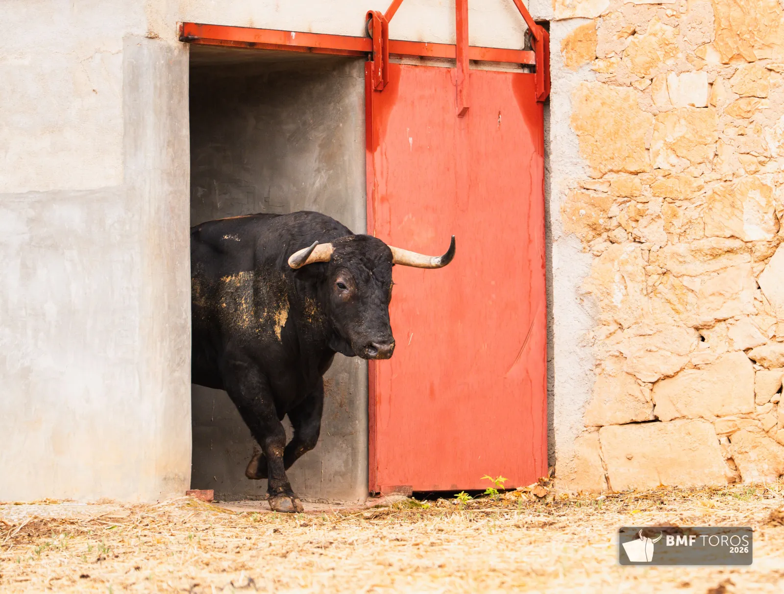 Fotos: BMF Toros