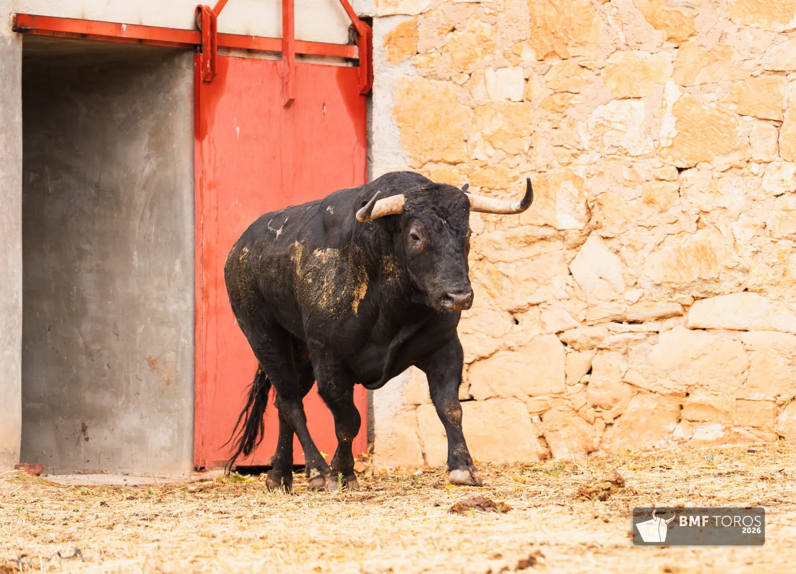 Fotos: BMF Toros