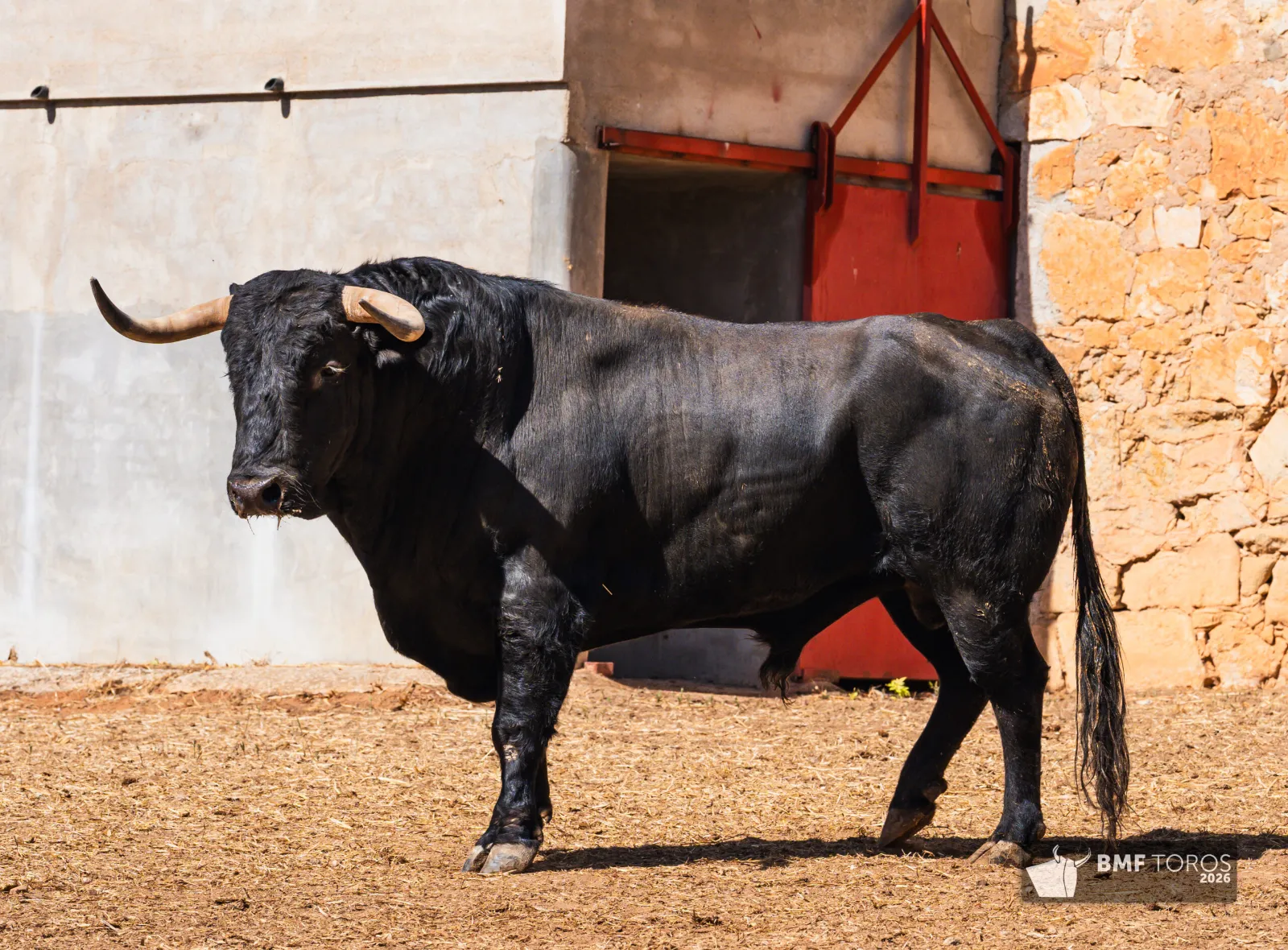 Foto 11 - FOTOS Y ORDEN DE LIDIA | Seis de Garc&iacute;a Jim&eacute;nez para la &uacute;ltima de feria
