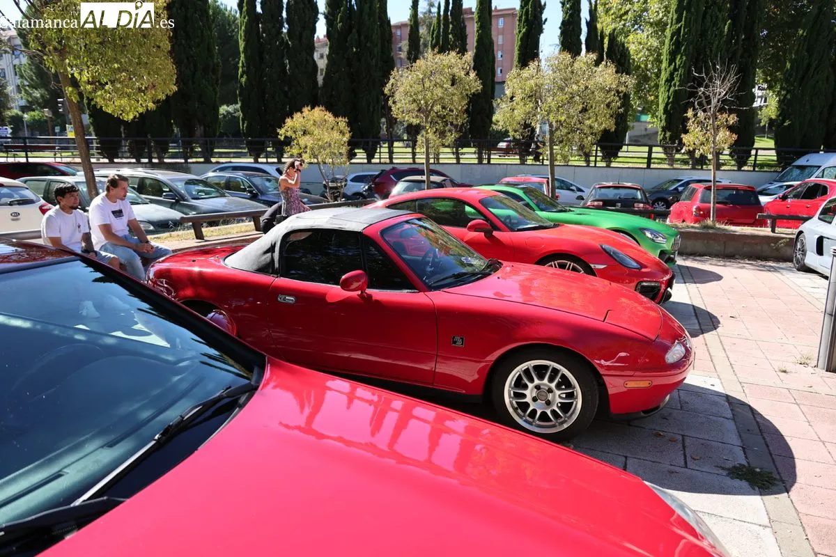 El paseo del Arrabal reúne a decenas de joyas del motor en su V Concurso de Elegancia | FOTOS: David Sañudo