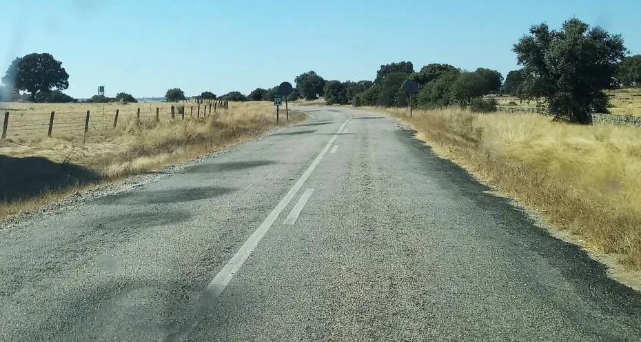 Baches y desconchones: la denuncia en las Cortes de CyL para reasfaltar la carretera entre Ledesma y Zamora
