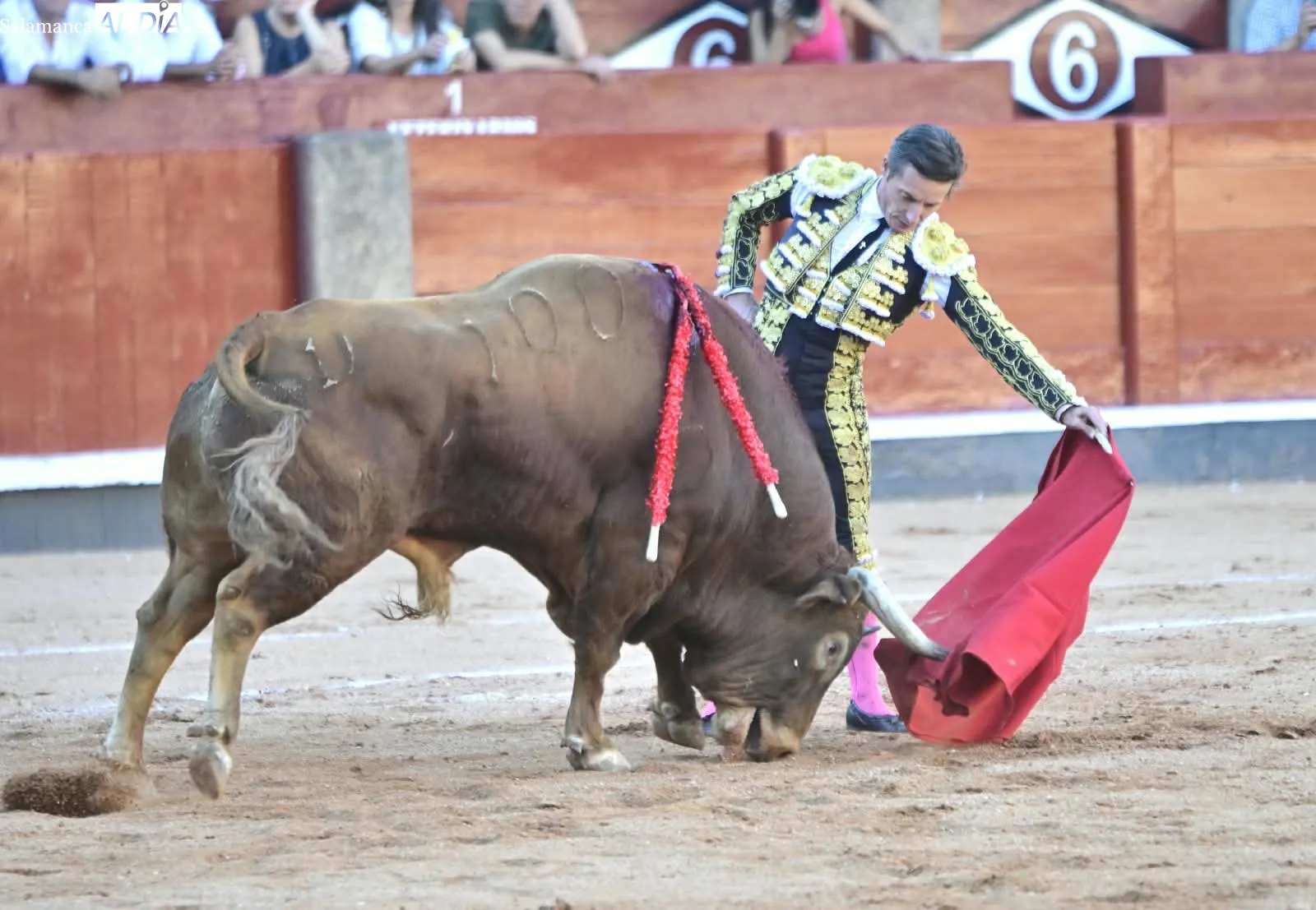 Foto 18 - Palmas por Huelva 