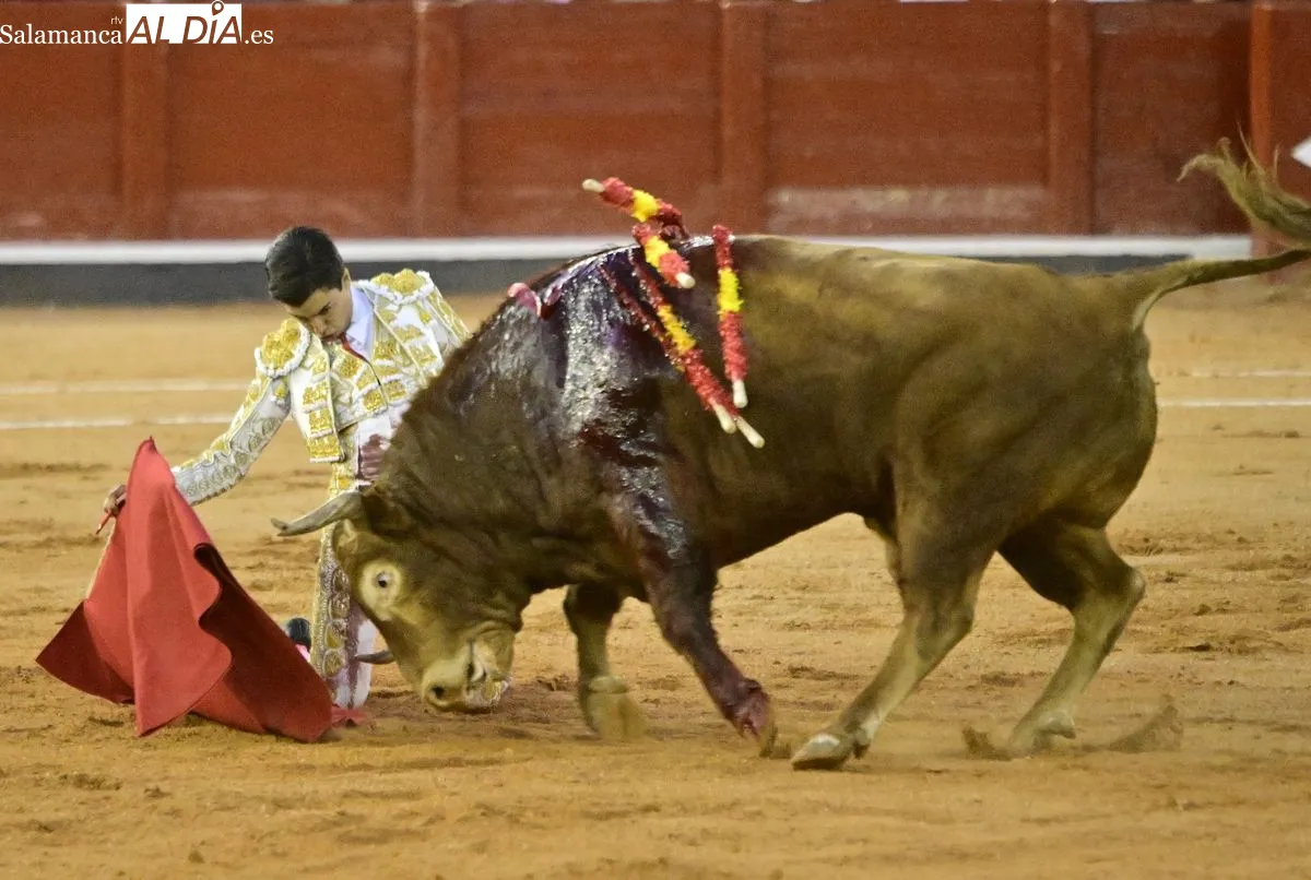 Vanidoso de Garcigrande, propuesto para el Toro de Oro
