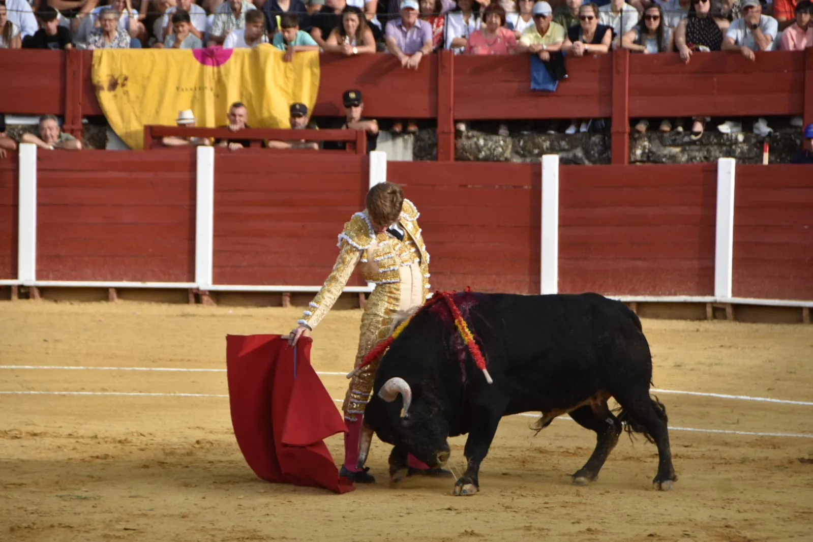 Valentín Hoyos toma la alternativa por la puerta grande en Béjar