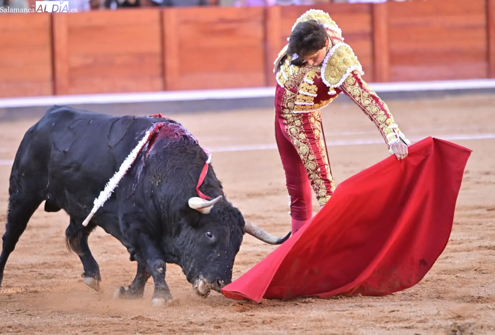 Oreja de peso para Roca Rey con el bravo segundo