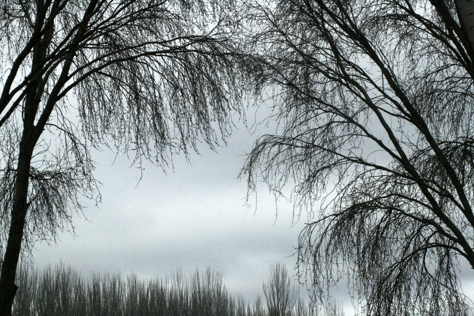 Foto 2 - La naturaleza, refugio de la memoria y del sue&ntilde;o