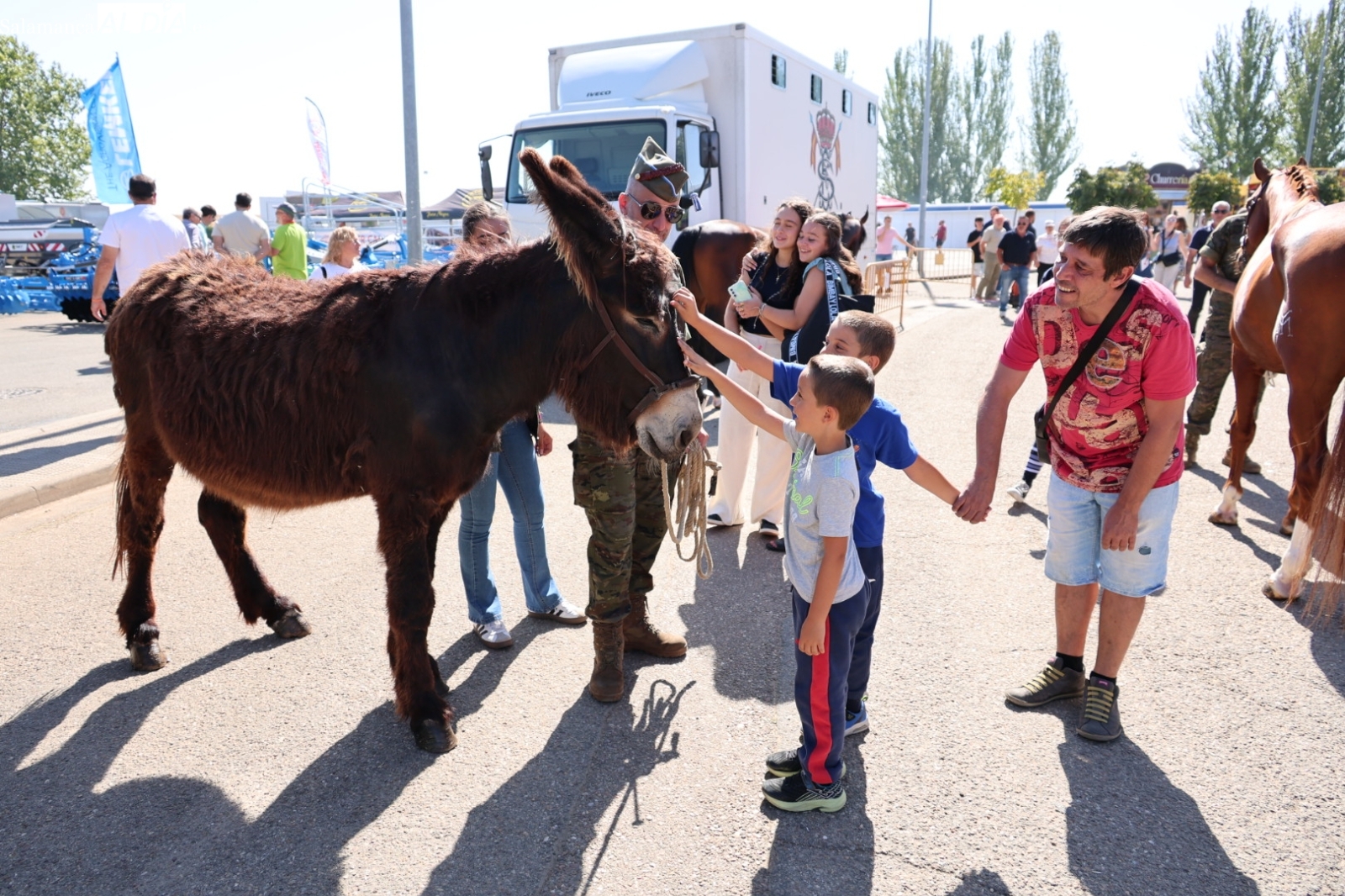 Guía completa de Salamaq 2026: horarios, transporte gratuito y actividades del gran escaparate agropecuario