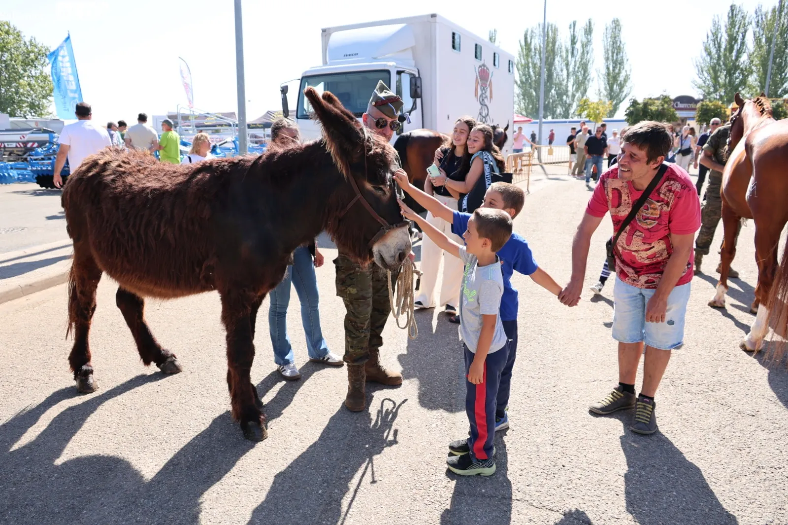 Guía completa de Salamaq 2026: horarios, transporte gratuito y actividades del gran escaparate agropecuario