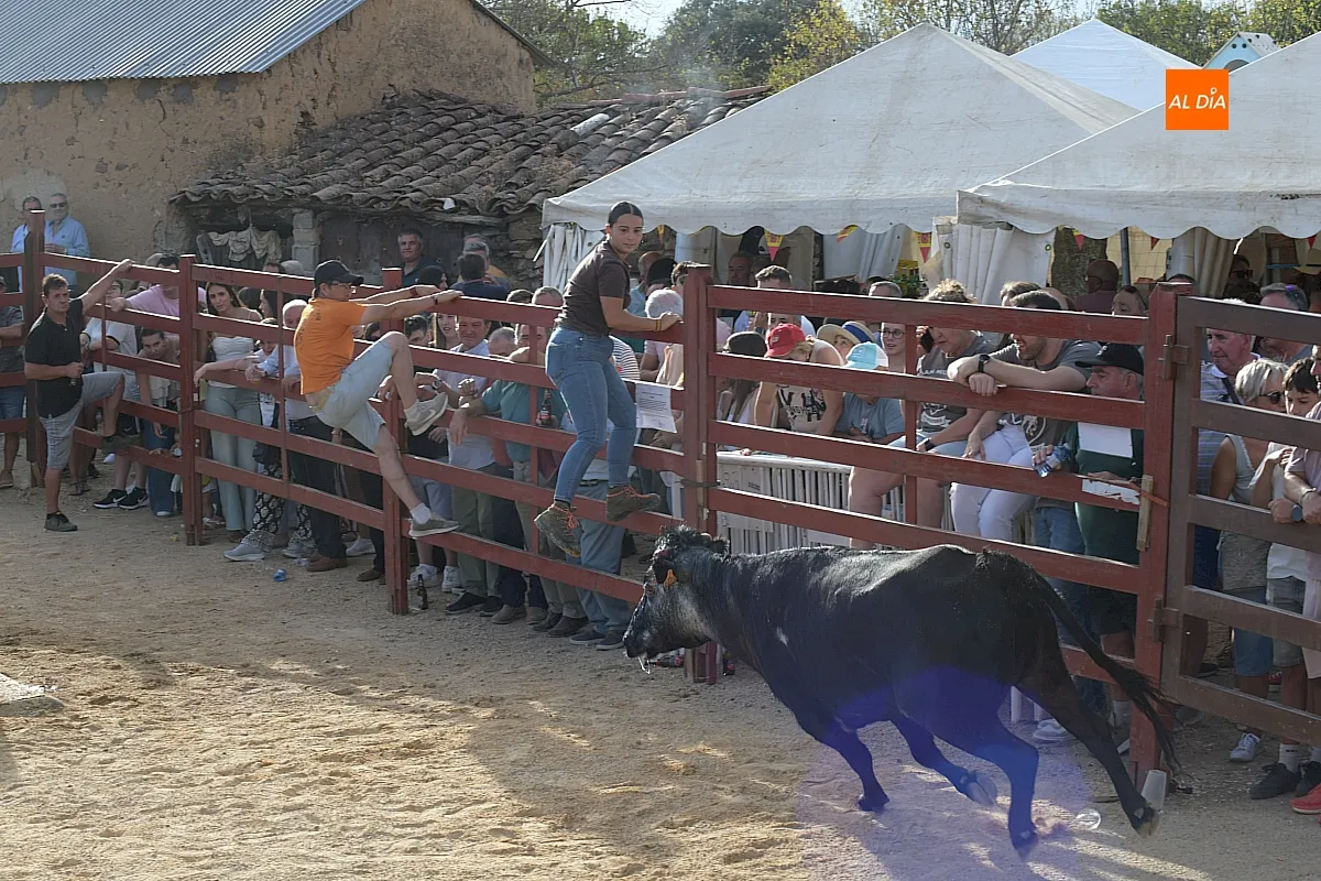 Capea de Vaquillas en Pedrotoro