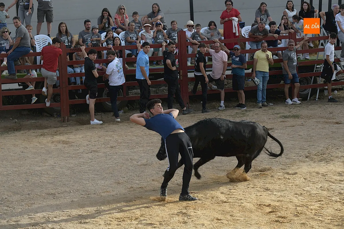 Capea de Vaquillas en Pedrotoro
