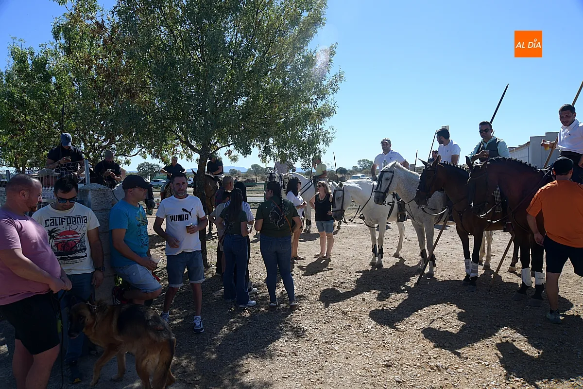 Encierro a Caballo Aldehuela de Yeltes Domingo 2026