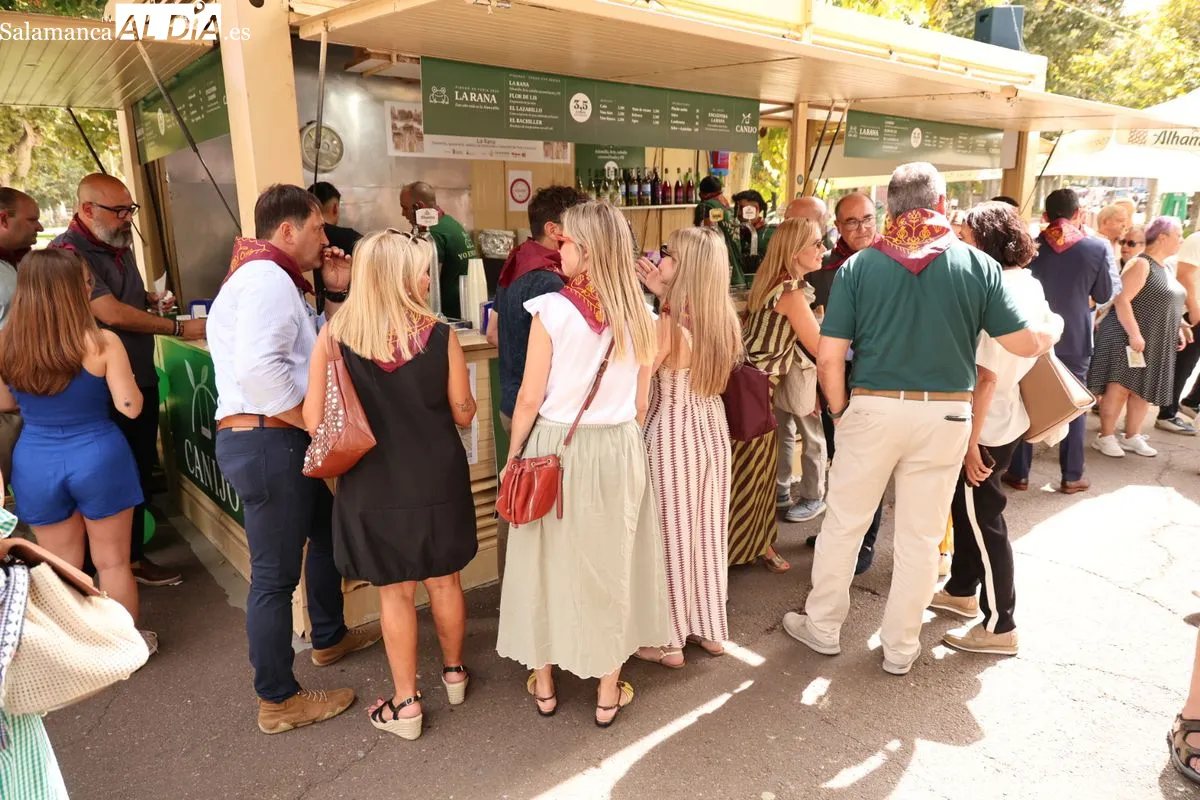 Inauguración de la Feria de Día 2026 en el Parque de la Alamedilla. Foto de David Sañudo