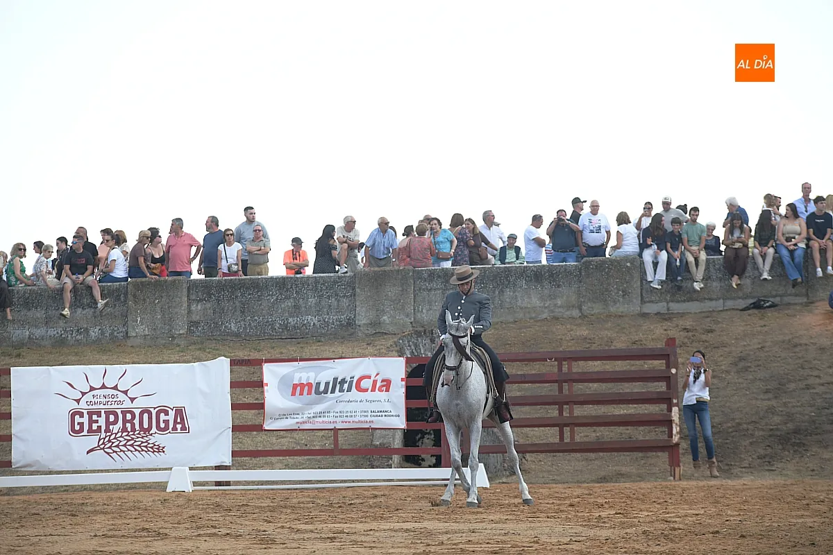Ciudad Rodrigo ha celebrado las pruebas de doma vaquera de su 25.ª Feria del Caballo