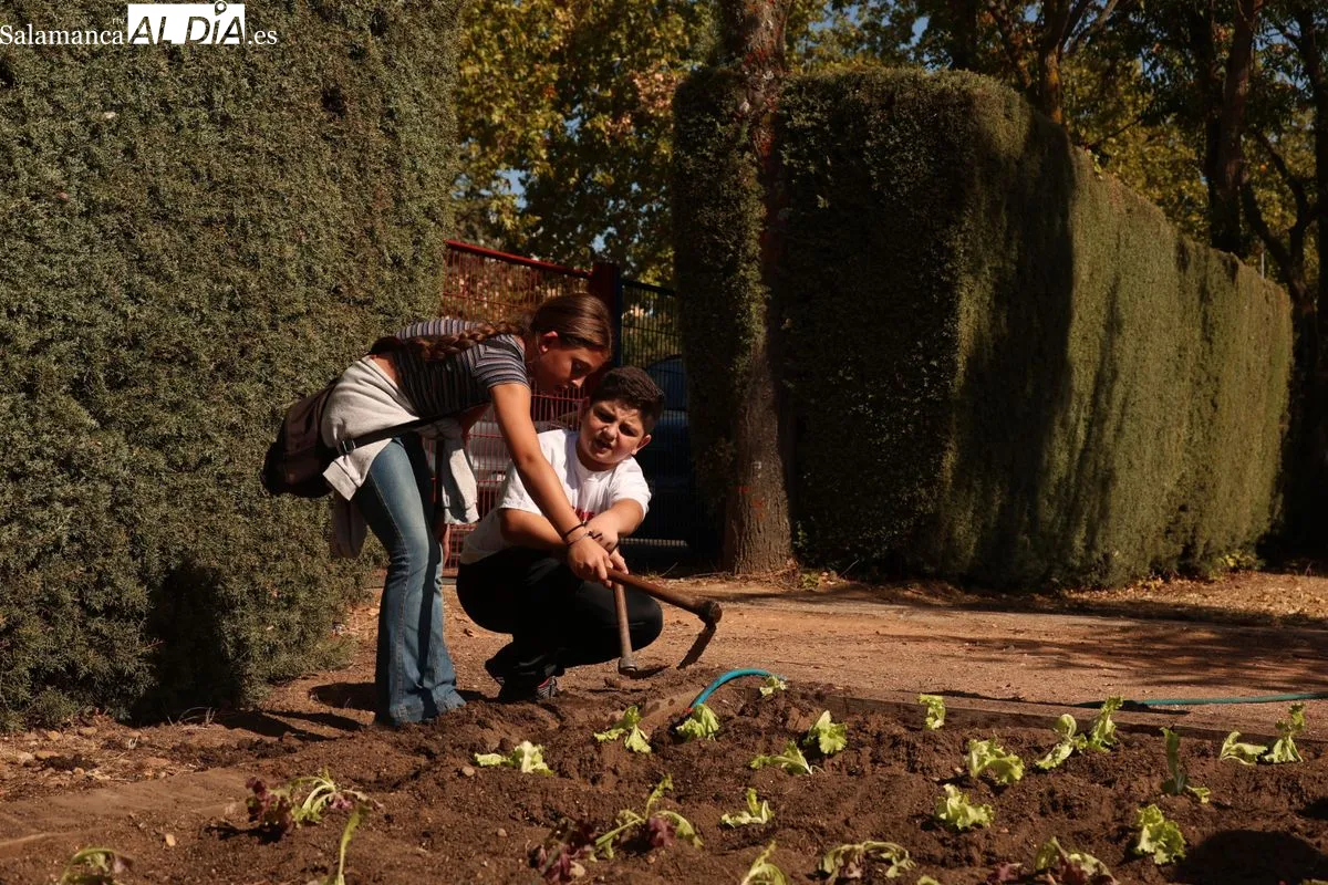 La concejala de Medio Ambiente, María José Coca, ha visitado el Colegio José Herrero. Foto de David Sañudo