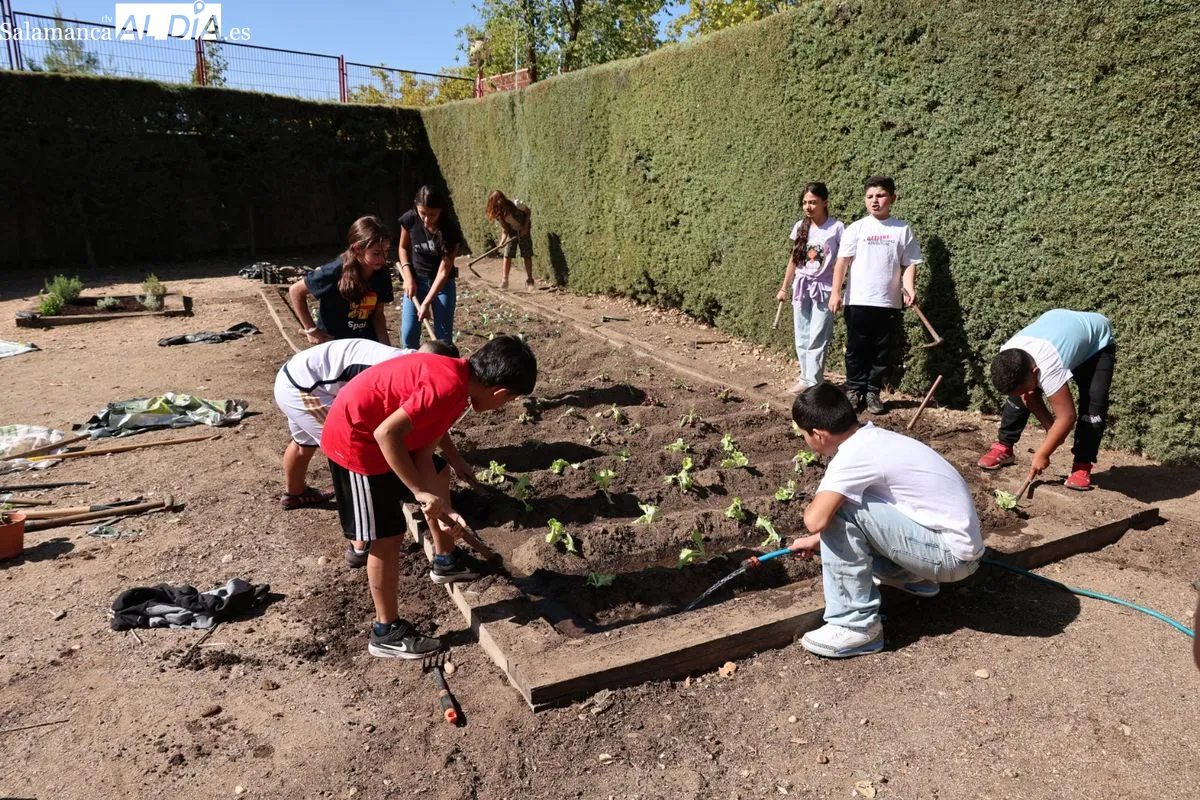 La concejala de Medio Ambiente, María José Coca, ha visitado el Colegio José Herrero. Foto de David Sañudo