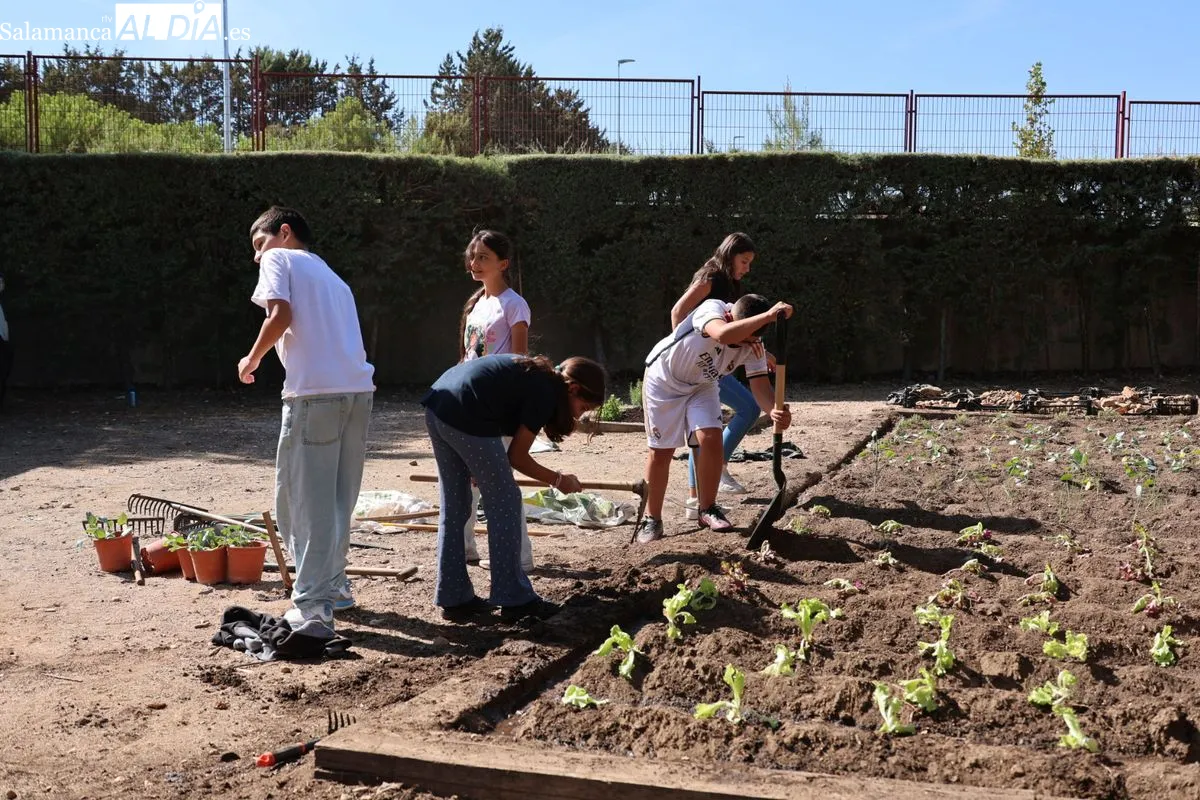 La concejala de Medio Ambiente, María José Coca, ha visitado el Colegio José Herrero. Foto de David Sañudo
