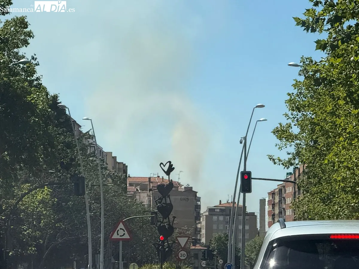 Un incendio en la zona de Vistahermosa provoca una gran columna de humo