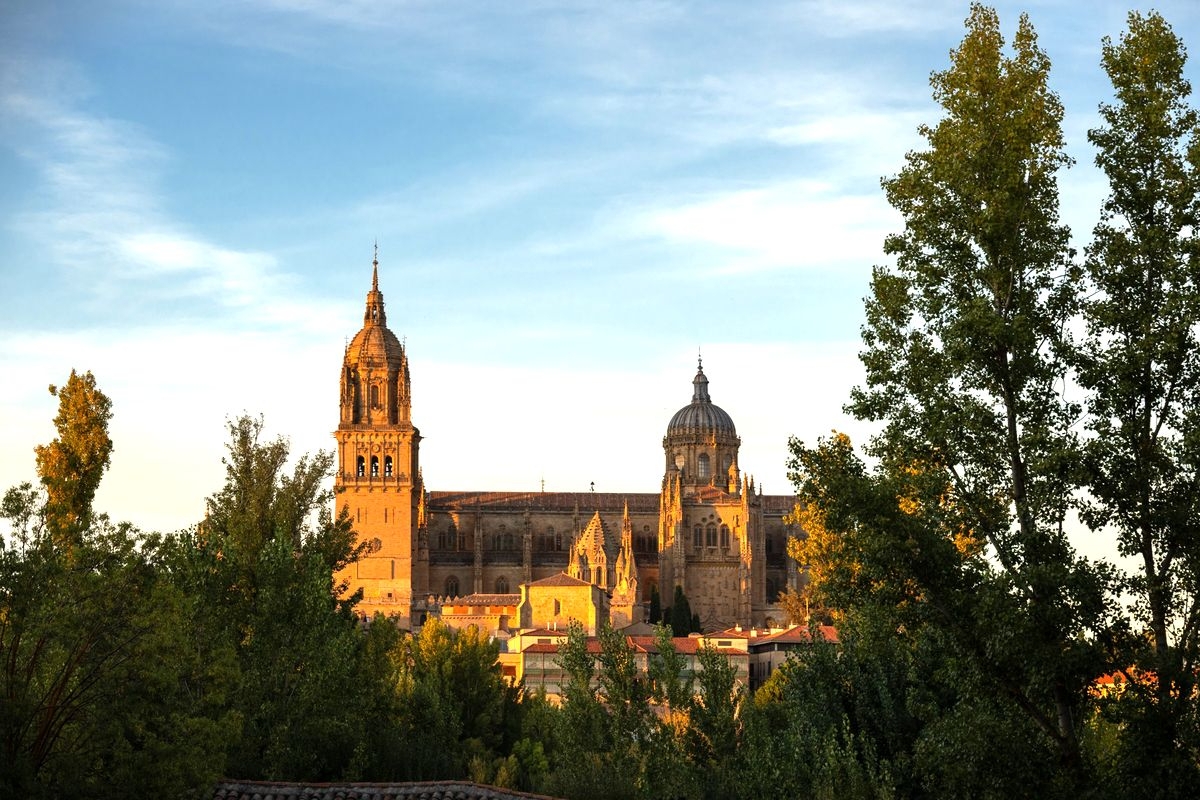 Las formas ensambladas en la luz 