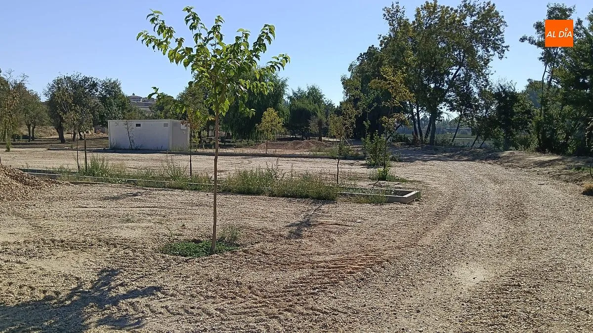 Obras adecuación Alameda La Moretona