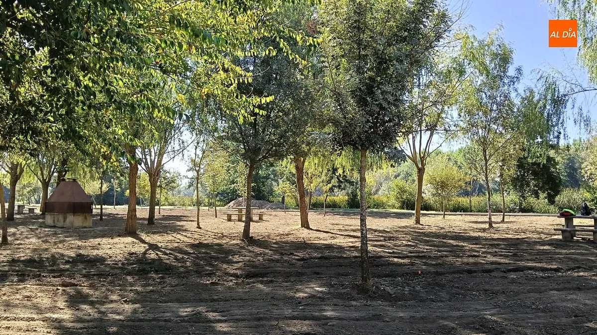 Obras adecuación Alameda La Moretona