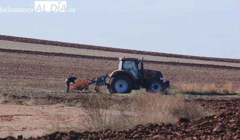 UPA Salamanca advierte del riesgo de dejar tierras sin sembrar