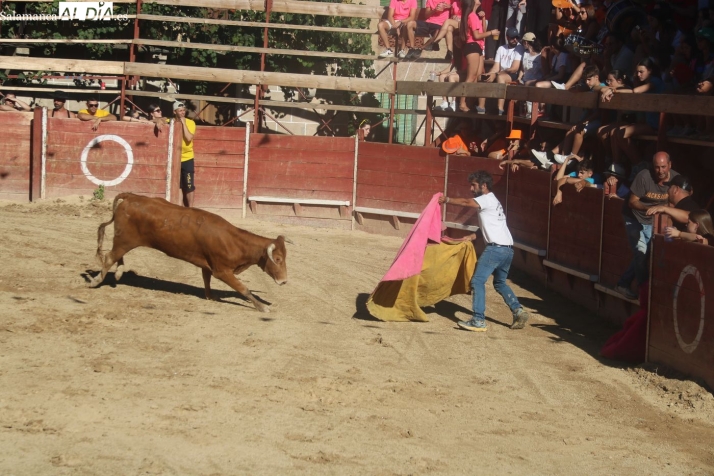 Mieza disfruta de una animada capea en la penúltima jornada de sus fiestas