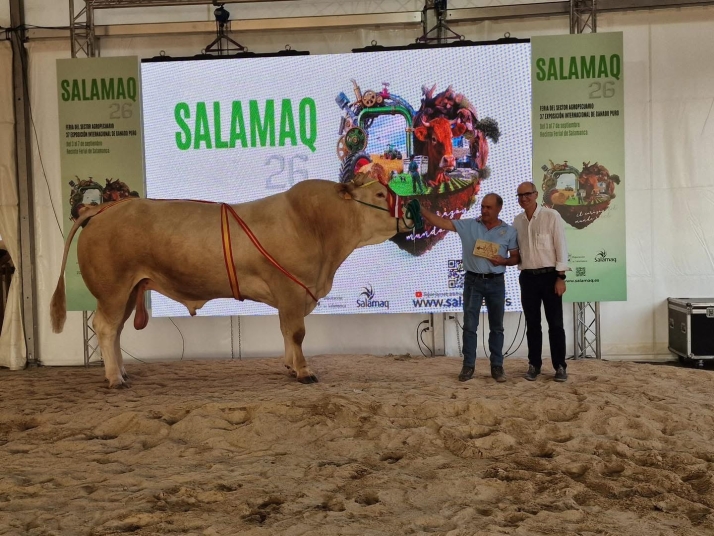Estos son los ejemplares campeones de las razas limusina, charolesa y blonda de Aquitania