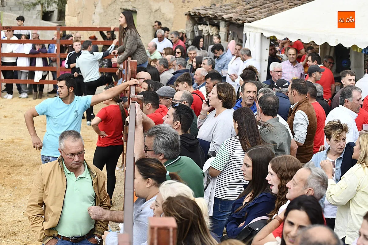 La capea popular de vaquillas centra la atención de numerosos mirobrigenses que acuden a su pedanía