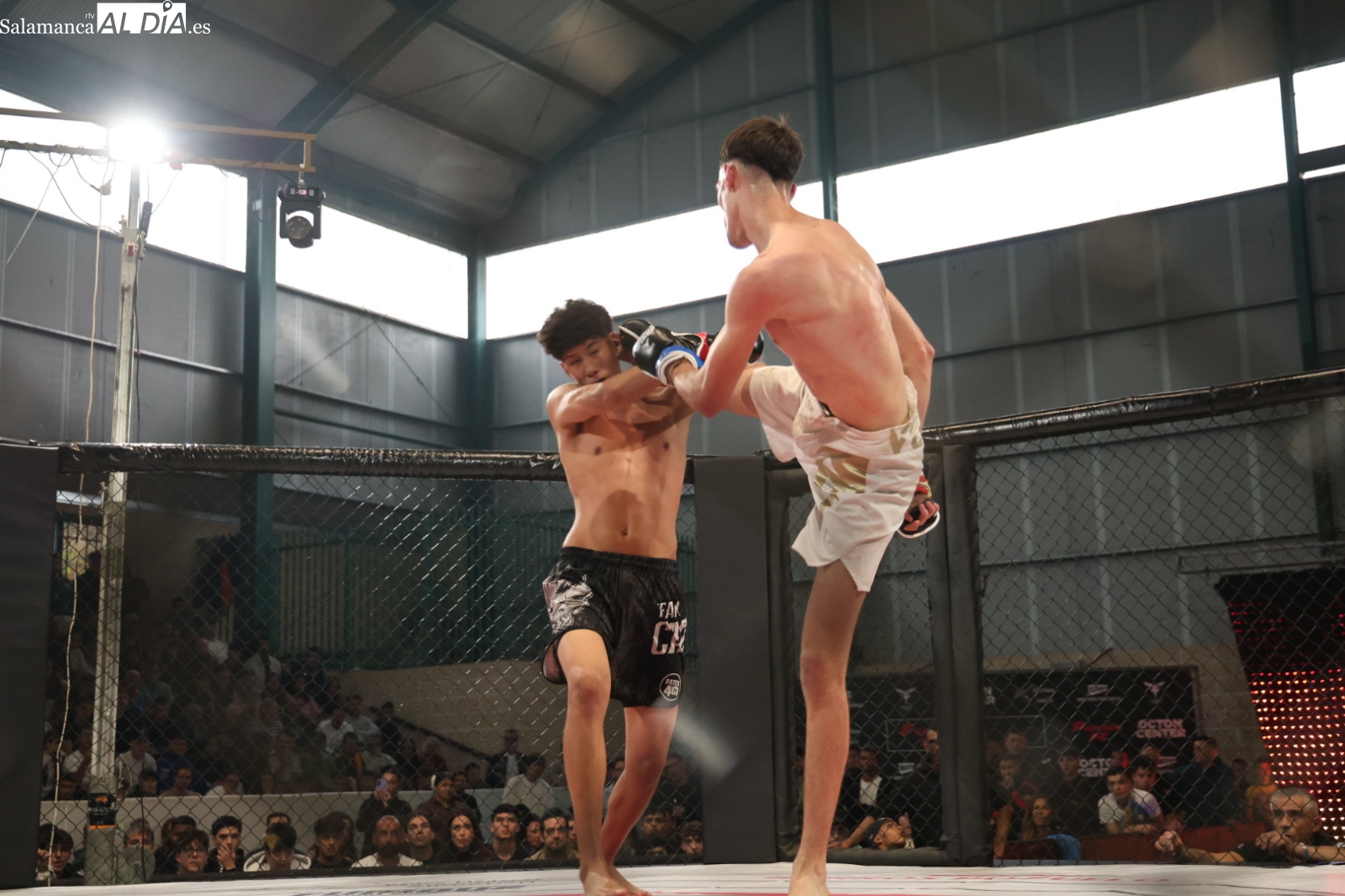 FOTOS | Furious FC MMA 17 llena Salamanca de golpes y grandes peleas de la mano de Guilherme Cadena