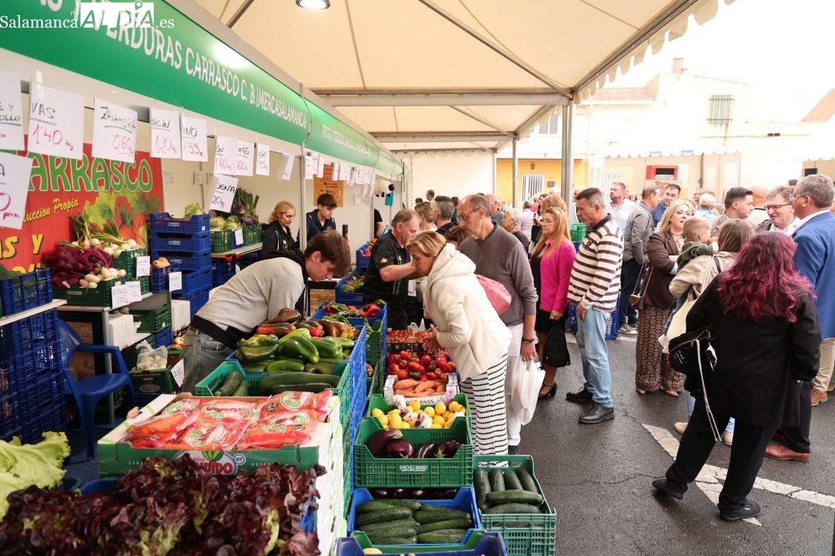GALERÍA DE FOTOS | Cabrerizos celebra con éxito su III Feria Agroalimentaria