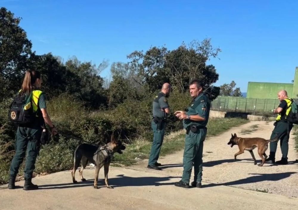Dos semanas sin rastro de Agustín: perros y especialistas de montaña refuerzan su búsqueda