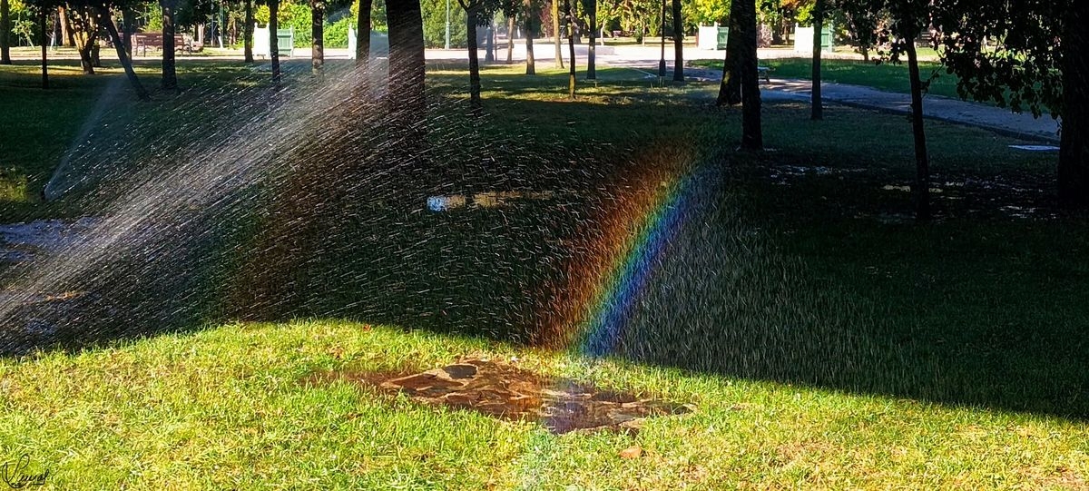 Reflejos de lo que somos 