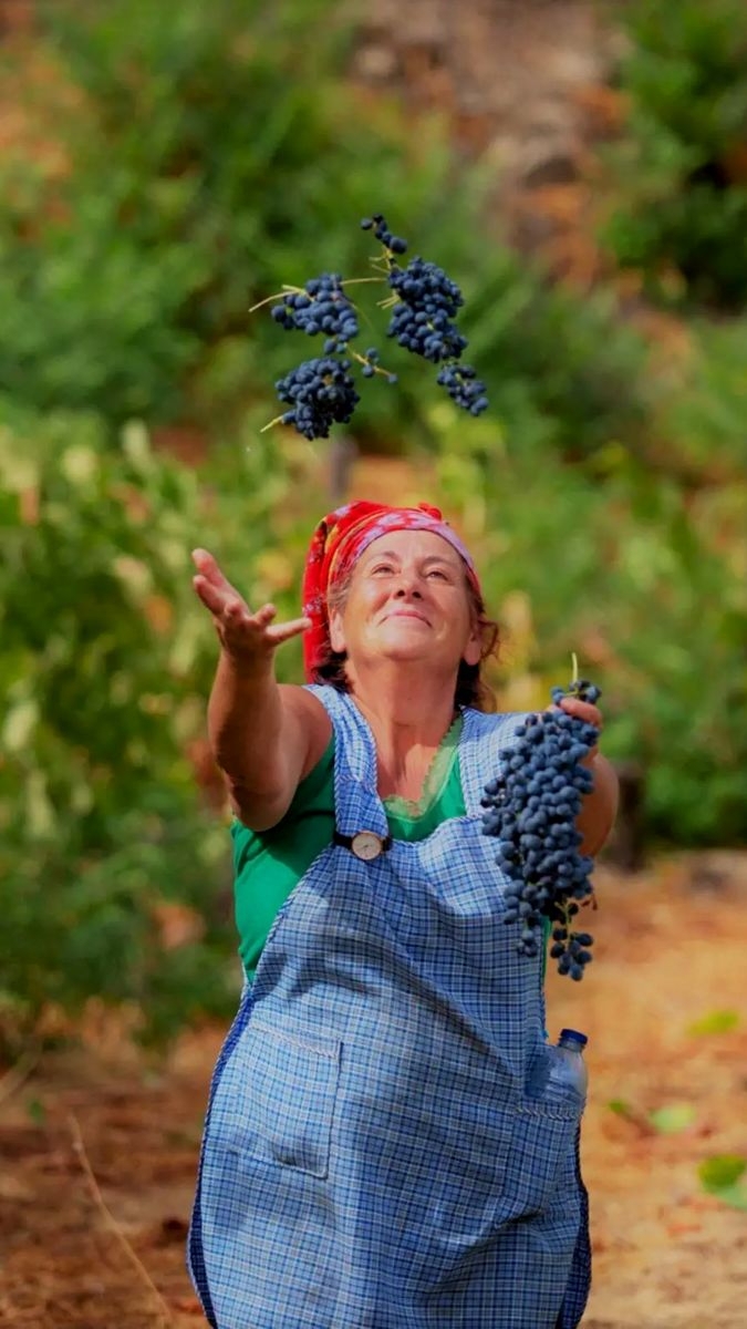 Enoturismo en el Centro de Portugal