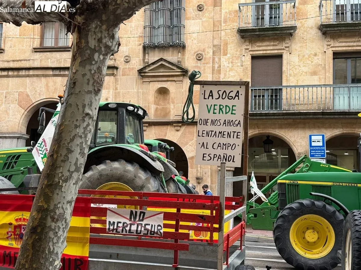 Protesta del campo de Salamanca en Madrid este 28 de octubre
