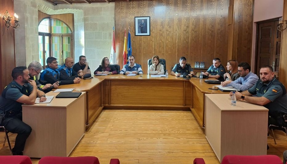 Controles de drogas y alcohol, vigilancia y un Punto Violeta para blindar las fiestas de Santa Teresa