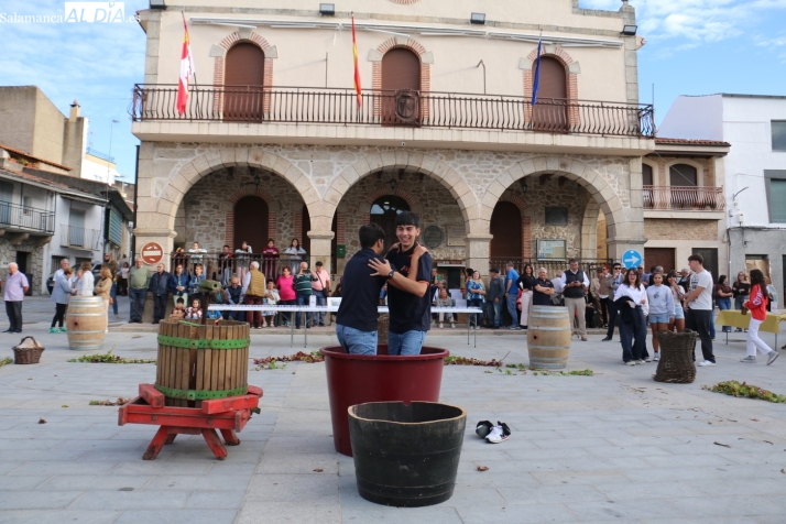 Villarino celebra la cuarta Fiesta de la Vendimia en Arribes – SALAMANCArtv AL DÍA
