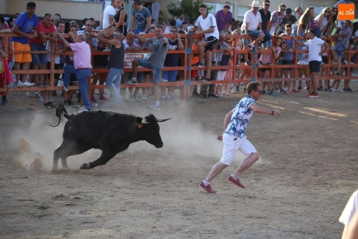 El segundo encierro de las fiestas de Villoruela finaliza sin heridos